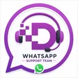 Support Team